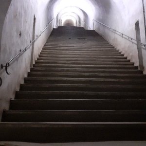 20250629_130307.jpg