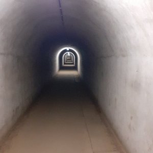 20250629_130456.jpg