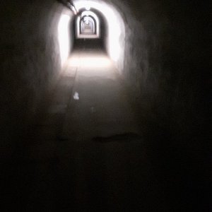 20250629_131332.jpg