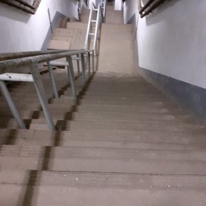 20250629_131854.jpg
