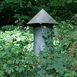 Medium 'IMG20250719140958.jpg' in der Kategorie 'Luftschutz'
