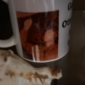 IMG_0008.jpeg