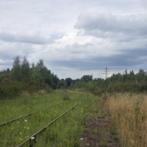 1000031129.jpg