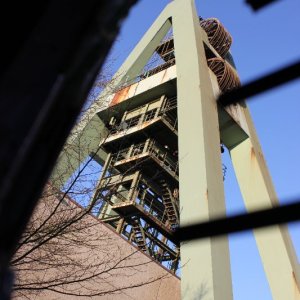 IMG_2858.JPG