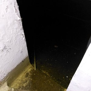 20250414_121406.jpg