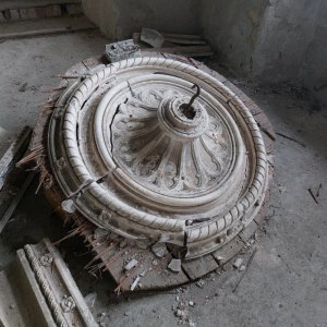 20250424_125259.jpg
