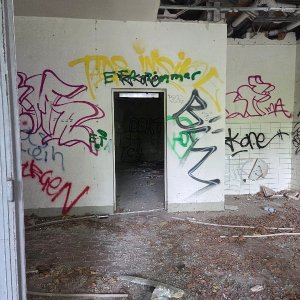 20250729_155135.jpg