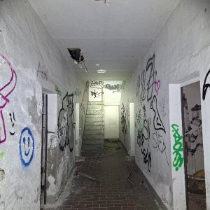 20250729_155831.jpg