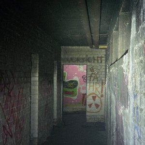 20250729_161814.jpg