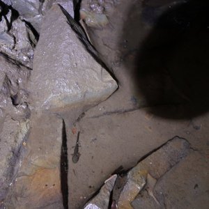 CU-Berg_F05A-202507.JPG
