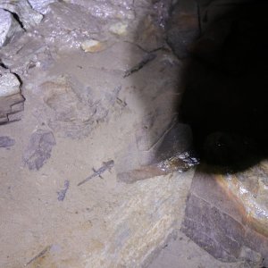 CU-Berg_F05B-202507.JPG