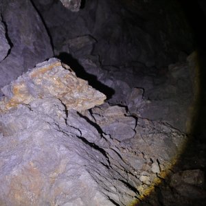 CU-Berg_F08-202507.JPG