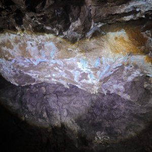 CU-Berg_F24B-202507.JPG
