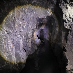 CU-Berg_F25-202507.JPG