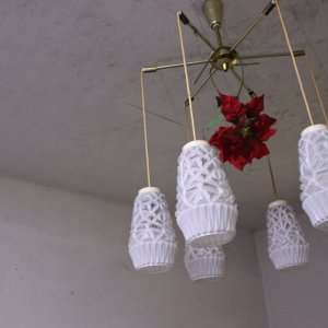 IMG_3016.JPG
