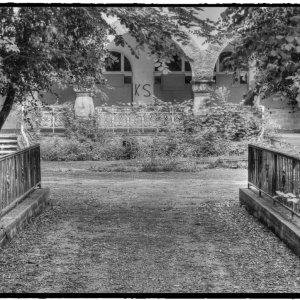 IMG_0266_Fotor.jpg