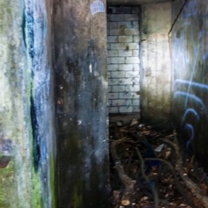 DSC_4538_urwkk.jpg