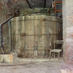 IMG_3338.jpg