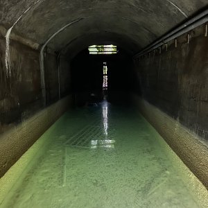IMG_9708.jpeg