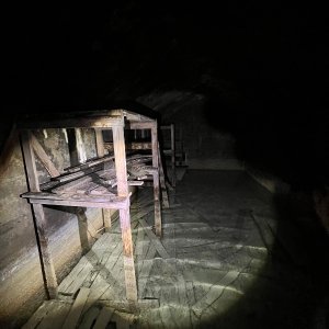 IMG_9704.jpeg