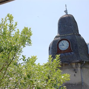 IMG_3359.jpg