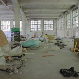 IMG_3390.jpg