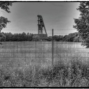 IMG_0127_Fotor.jpg