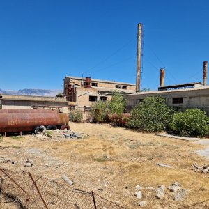 20250826_125632.jpg