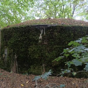IMG20250904164453.jpg