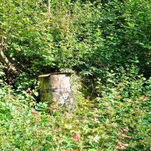 DSC_0004.JPG
