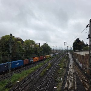 20250909_174918.jpg