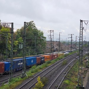 20250909_174922.jpg
