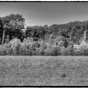 IMG_0531_Fotor.jpg