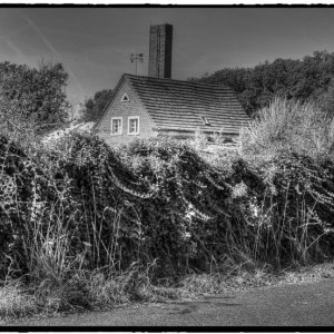 IMG_0473_Fotor.jpg