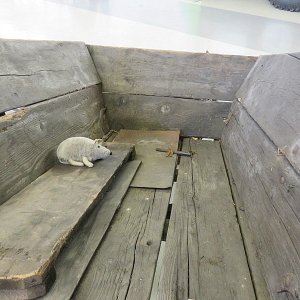 1-174-IMG_6997.JPG
