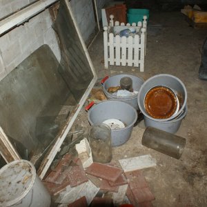 DSC03305.JPG