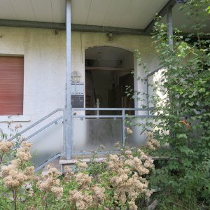 545-IMG_7865.JPG