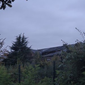 1000055540.jpg