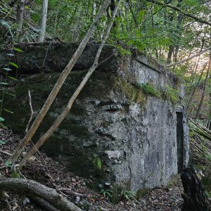 20251001_184832.jpg