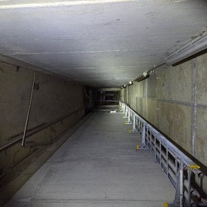20251004_152828.jpg