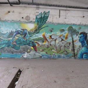 442-IMG_8569.JPG