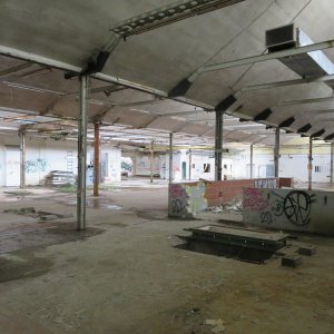 332-IMG_8459.JPG