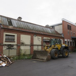 542-IMG_8669.JPG