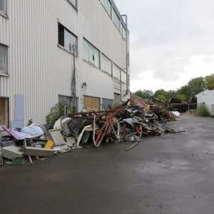 547-IMG_8674.JPG