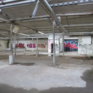 269-IMG_8396.JPG
