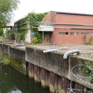 654-IMG_8781.JPG