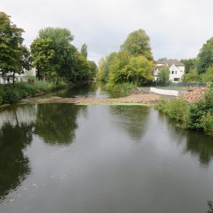 610-IMG_8737.JPG