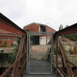 1-656-IMG_8783.JPG