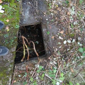 Medium '20251012_182607.jpg' in der Kategorie 'Ruinen'