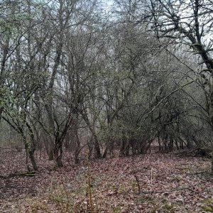 Medium '01.jpg' in der Kategorie 'Bergbau und Naturhöhlen'